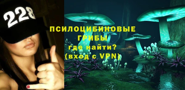 ПСИЛОЦИБИНОВЫЕ ГРИБЫ Балахна