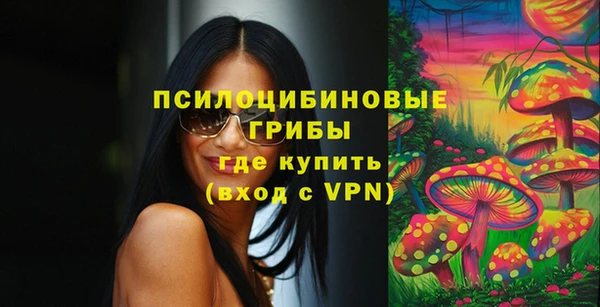 синтетический гашиш Белокуриха