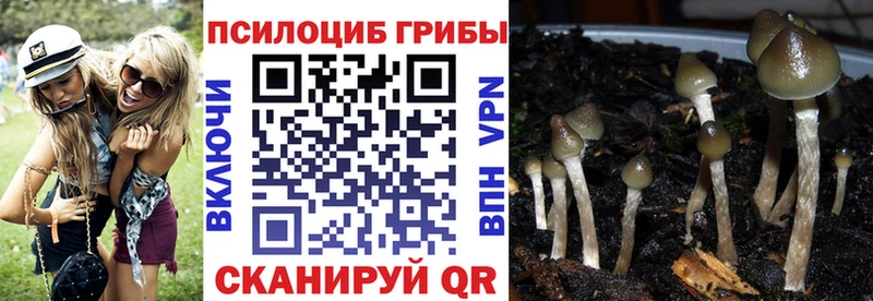 Галлюциногенные грибы прущие грибы  Озёры 